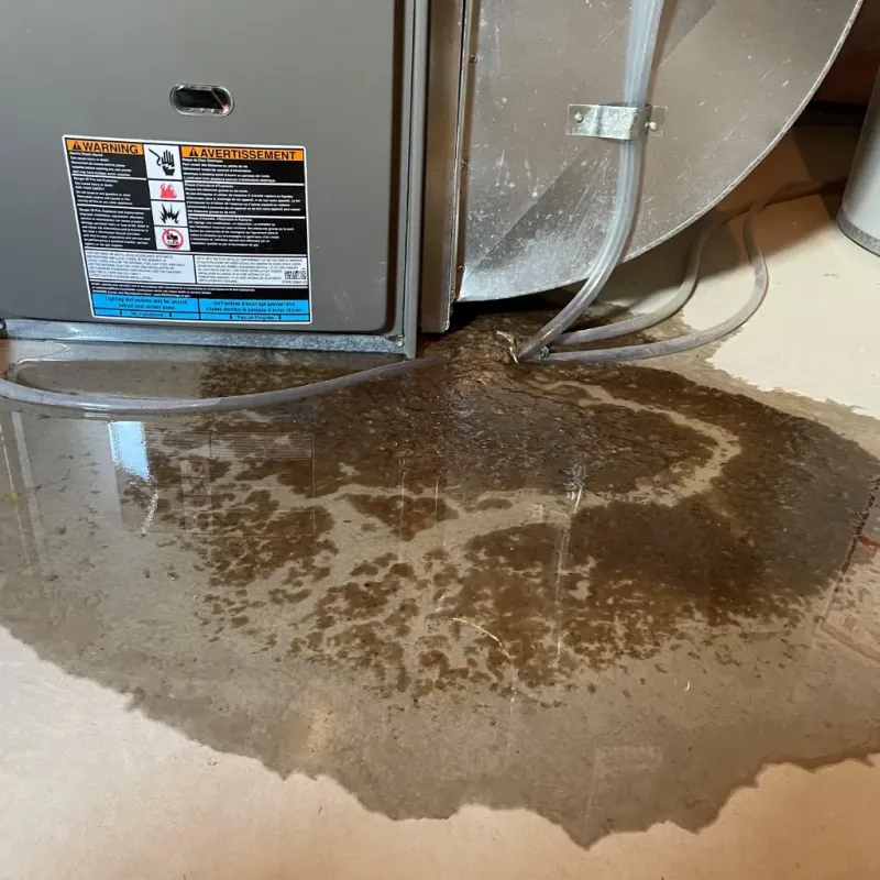 Appliance Leak Cleanup in Fairfield Bay, AR